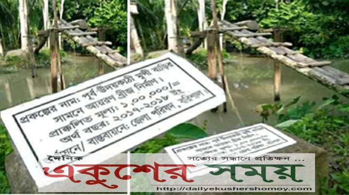 বরিশাল জেলা পরিষদের লক্ষ টাকার আয়রন ব্রিজ বাস্তবে সাঁকো! ছবি ভাইরাল।